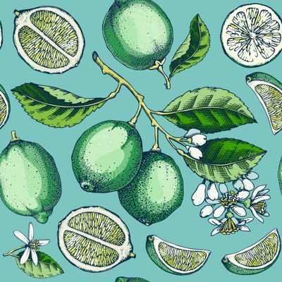 Decorative citrus fruit seamless pattern. Lime fruit sketches. Watercolor style botanical background. Exotic plants texture. Hand drawn vector illustration. NOT AI generated
